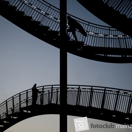 2025 Hombroich &amp; Düsseldorf - Andrea Göpfert: &quot;Tiger and Turtle&quot;